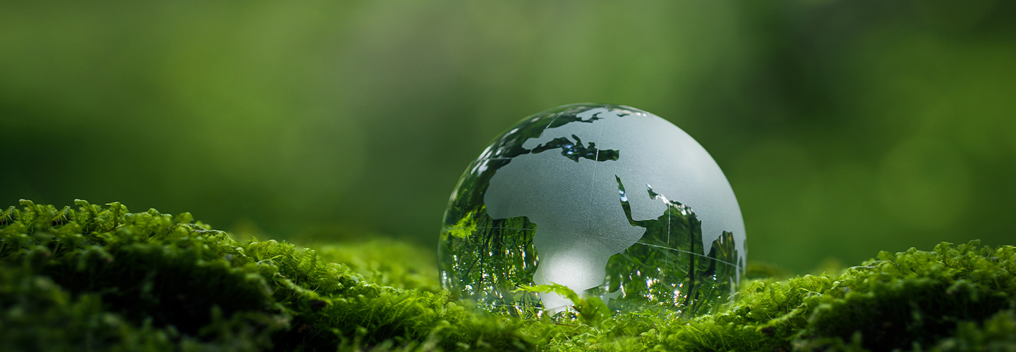 Promovemos a SUSTENTABILIDADE